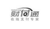 財(cái)付通