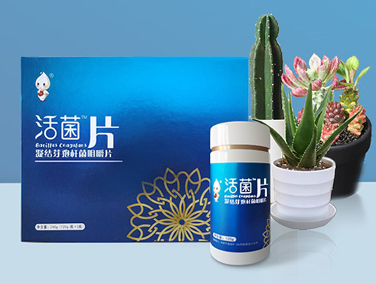 凝結(jié)芽孢桿菌-活菌片網(wǎng)絡(luò)營(yíng)銷(xiāo)推廣