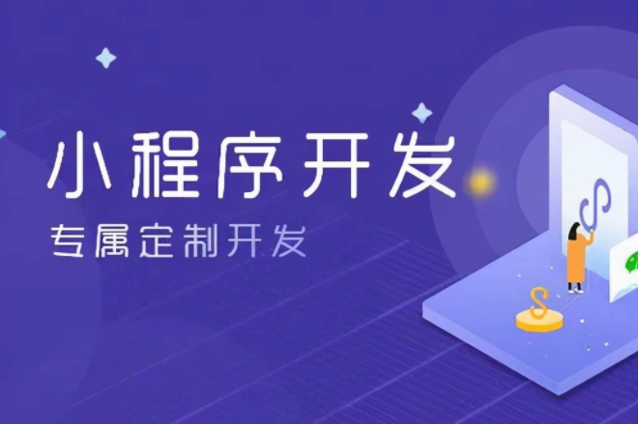 企業(yè)小程序開發(fā)是用獨立的系統(tǒng)好還是用SAAS平臺好？