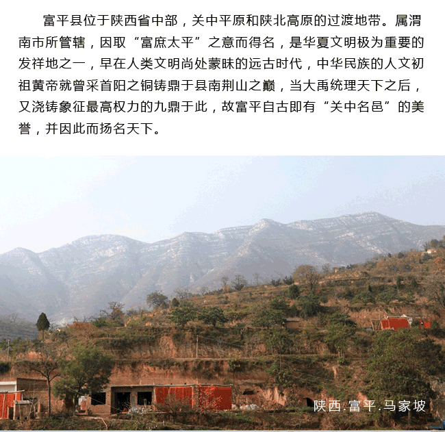 富平霜降柿餅網(wǎng)絡(luò)營銷