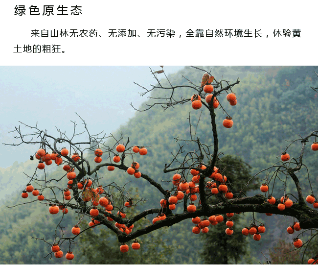 富平霜降柿餅網(wǎng)絡(luò)營銷