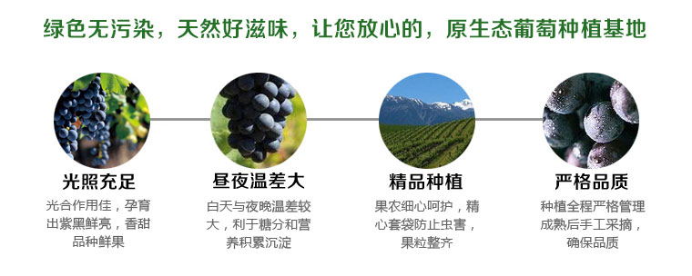戶太八號葡萄淘寶眾籌