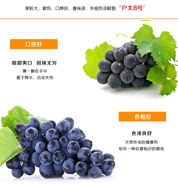戶太八號葡萄淘寶眾籌