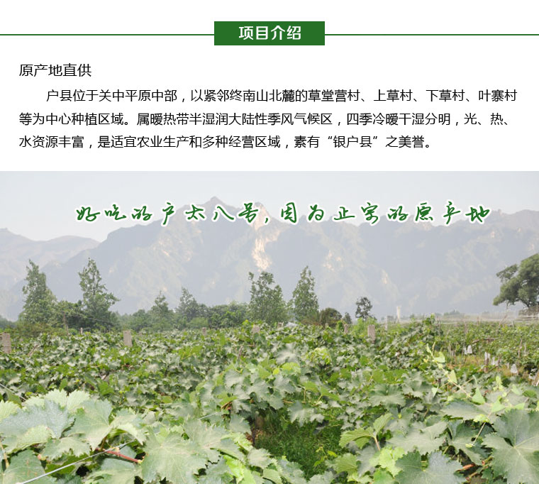 戶太八號葡萄淘寶眾籌