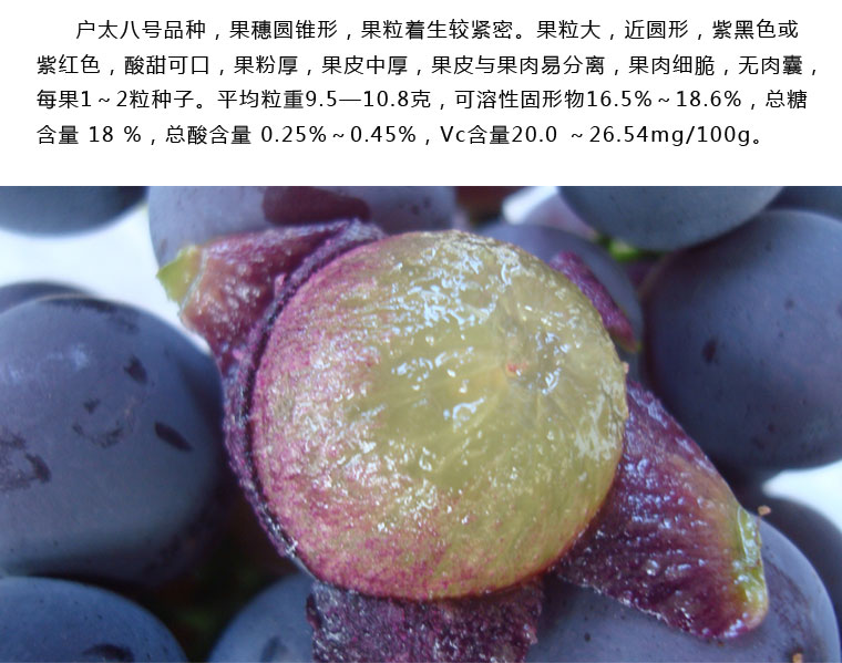 戶太八號葡萄淘寶眾籌