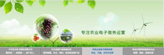 千年農(nóng)夫茶葉淘寶店鋪運營