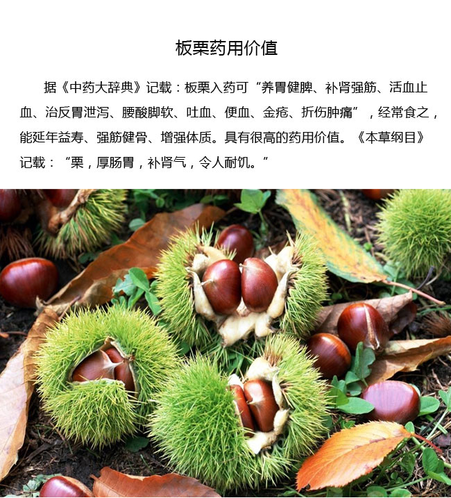 地方農(nóng)特產(chǎn)鎮(zhèn)安板栗網(wǎng)絡(luò)營銷