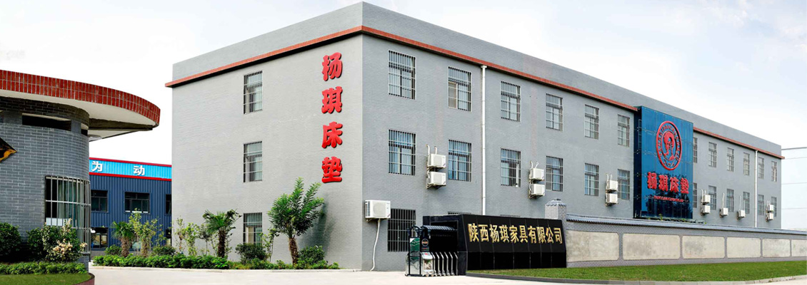 陜西楊琪家具有限公司網(wǎng)絡(luò)營銷