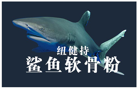 鯊魚(yú)軟骨粉網(wǎng)絡(luò)營(yíng)銷